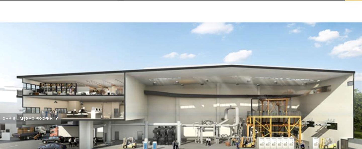 West Spring (D22), Factory #484999921